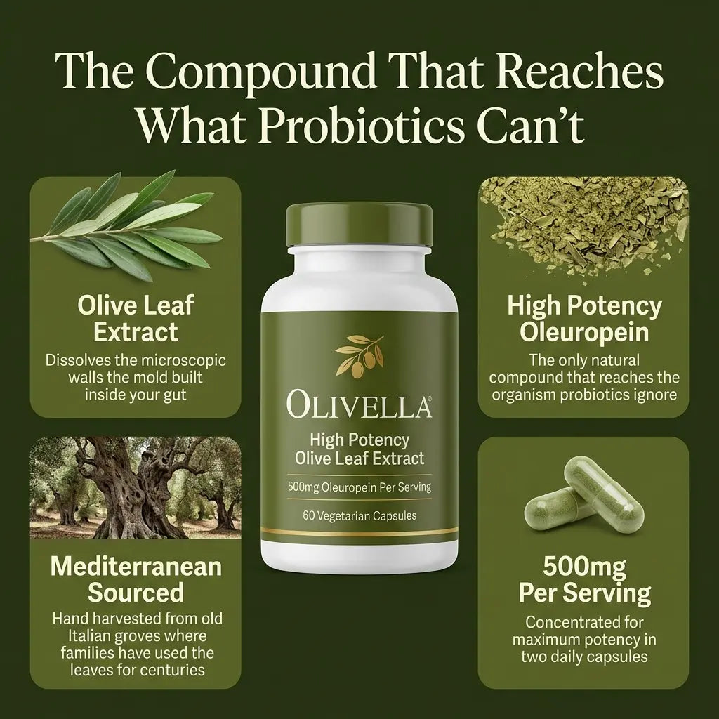 Olivella Olive Leaf Extract
